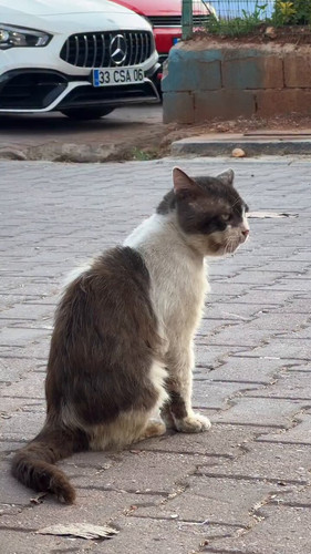 hG3UN7MdhAlD8ttT.jpg