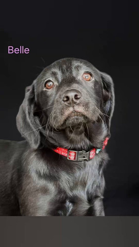 NMe zn0QLkUC uL1.jpg