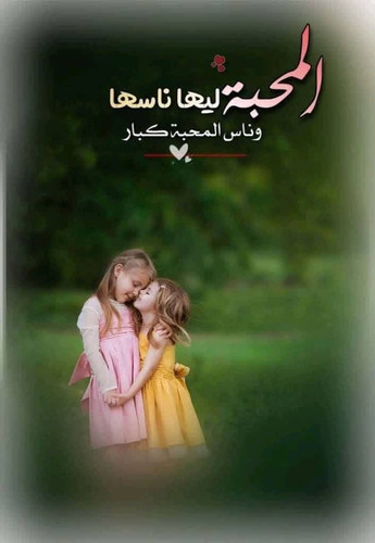 HAV 8O XEAA IEc.jpg