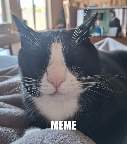 87a0924b3ea3.png