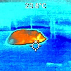 48f4e9cd5128.jpg