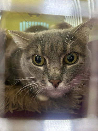 HAT7 JVXIAAnFbJ?format=jpg.jpg