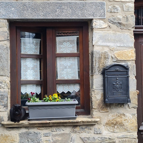 HAY GHrXIAAry85?format=jpg.jpg