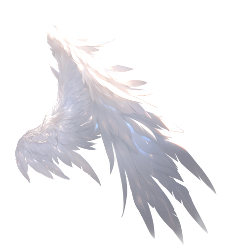 1770293037484.png