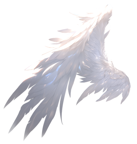 1770293031582.png