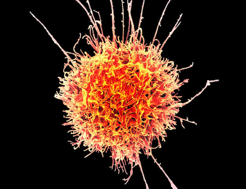 HAU1V1IWMAM 1o8?format=jpg.jpg