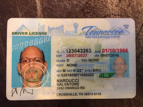 1613483524089 18826 7d2a96d607eaf63bbf6169c46780960a 1.jpg