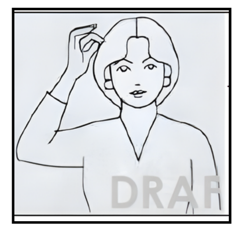 isyarat rambut.png