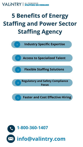 5 key points of Energy Staffing and Power Sector Staffing Agency (1).jpg