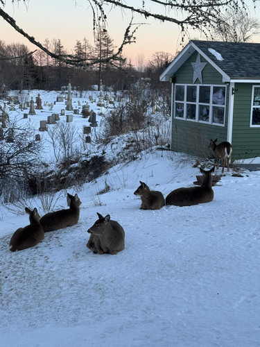 625340883 3004253206425690 7305295943060915301 n.jpg