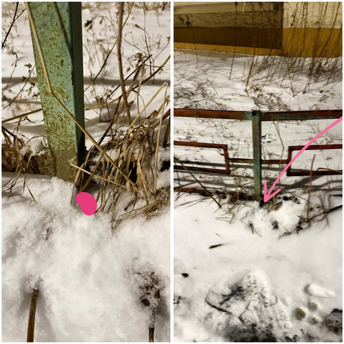 C9869722 0061 4F27 913C 939651E4AF7B.jpg