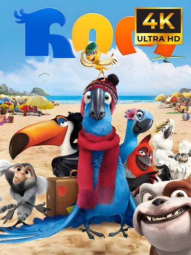 Rio cover