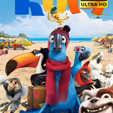 Rio cover