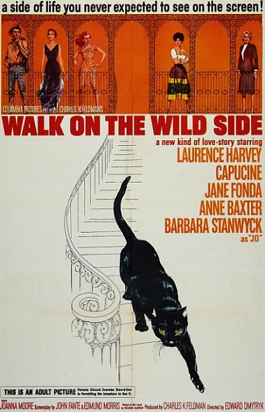 La gata negra (1).jpg