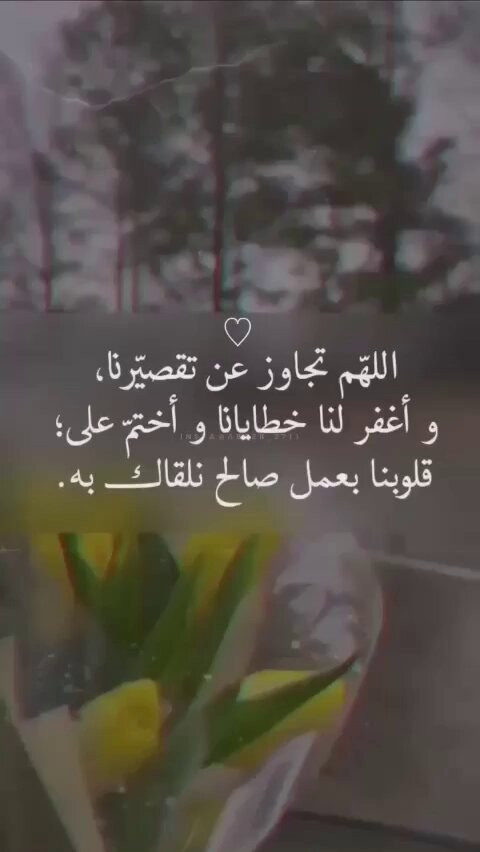 38TD2lGMKYtO qWG.jpg