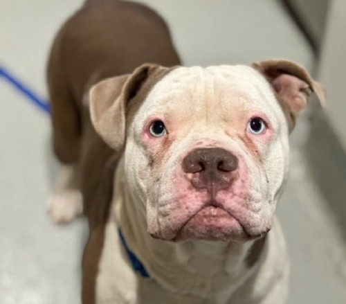 G 6lCJOXsAAHd8h?format=jpg.jpg