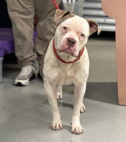 G 6lCHwXQAAoJ i?format=jpg.jpg