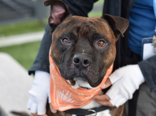 G nQS Za4AAOfMS?format=jpg.jpg