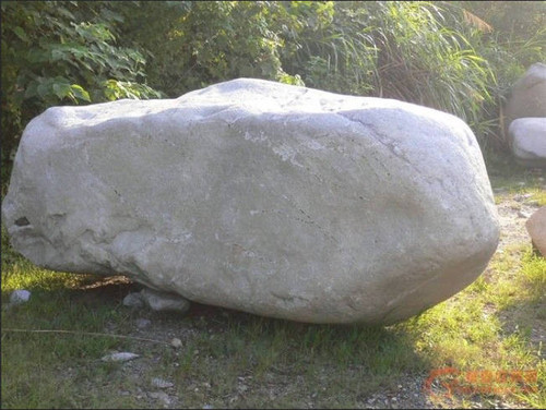 53de35358047.jpg