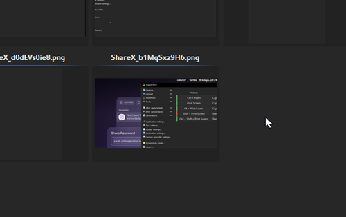 ShareX gHzPm6Ojii.png