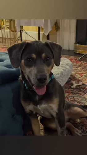 CyLRezYioVXBTC t.jpg