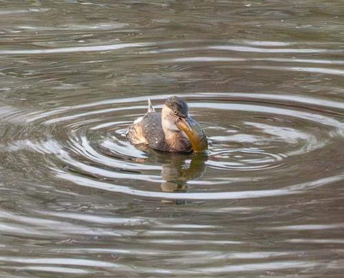 Camera 1040g0k031s6028qs56005nid2tv097a9fae1s1o edit 680119421110084.jpg