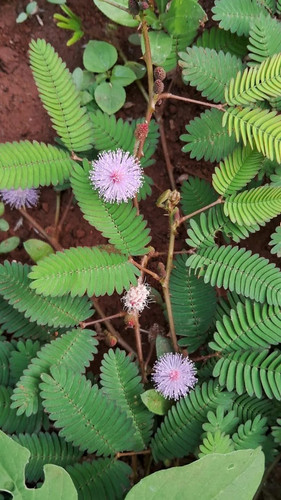 3a6934cd 7240 4100 a86c 18d6371c59eb.jpg