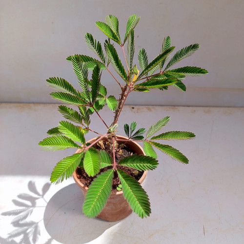 7e0e315a 7d65 4084 9a7a 893e8e7db592.jpg