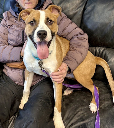 HATE3 MWsAAxgAK?format=jpg.jpg