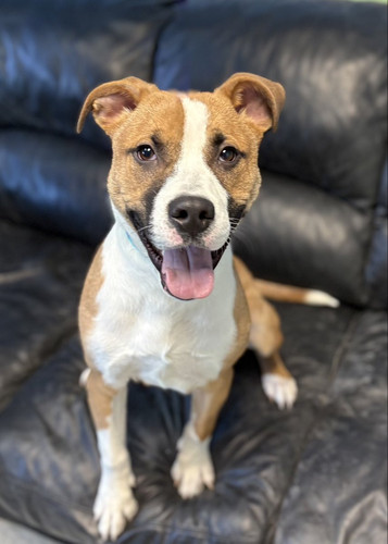 HATE3 KXIAE7jZ2?format=jpg.jpg