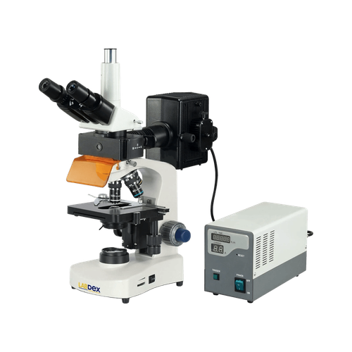 Fluorescence microscope LX1303FMS - Fluorescent Light Microscope.png