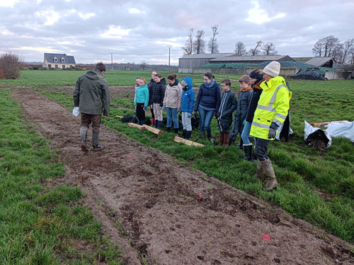 IMG 20251217 090003.jpg