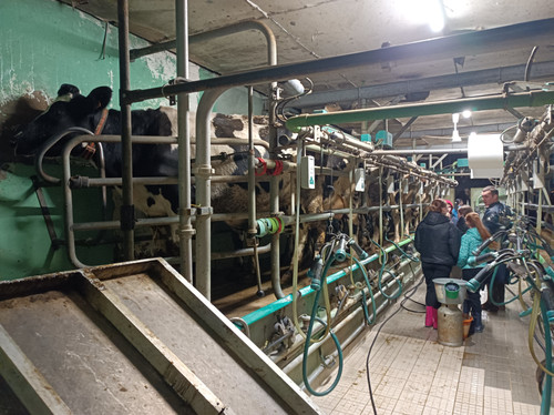 IMG 20251217 082543.jpg