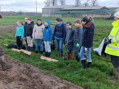 IMG 20251217 090013.jpg