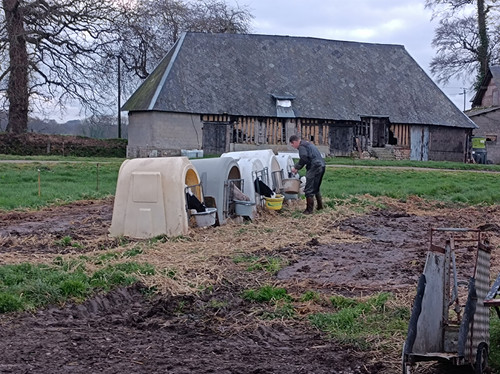 IMG 20251217 084949.jpg