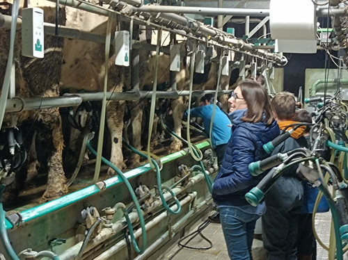 IMG 20251217 083509.jpg