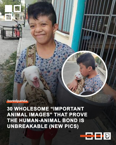 important animal pics wholesome funny.jpg