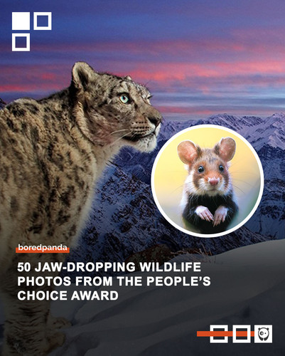 photographer of the year peoples.jpg