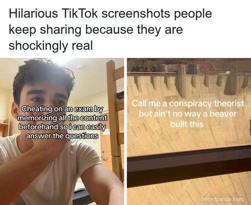 tiktok screenshots.jpg