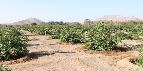 HAUbeCfWgAA8i8 ?format=jpg.jpg