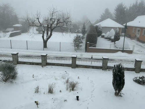 IMG 1162 800x600.jpg