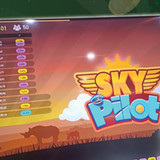 2450 x 750 SKYPILOT