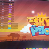 1300 ×350 SKYPILOT