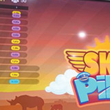 1300 ×300 SKYPILOT