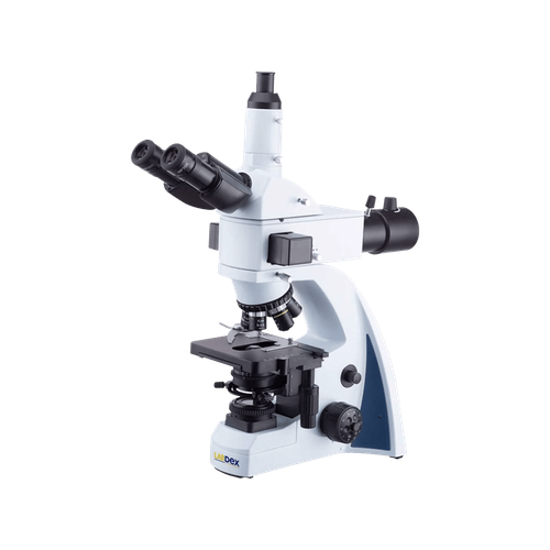 Fluorescence microscope LX1304FMS -  Fluorescence Imaging.png