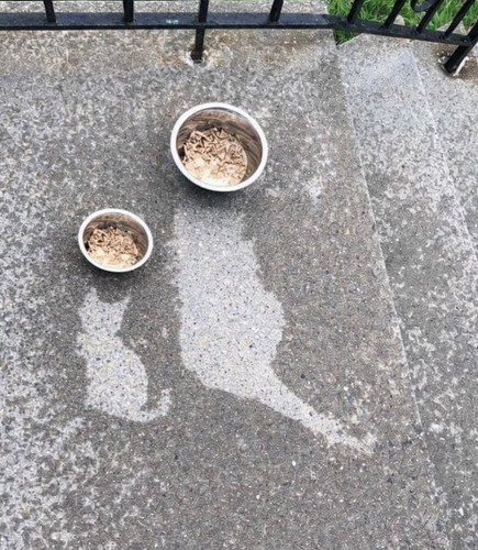 627605367 1316046027234449 6195196413981261740 n.jpg