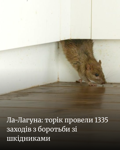 25029dd76f93.png