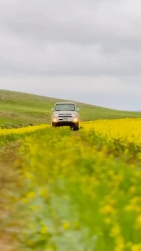 z6DmJ6 DUmTtZDbc.jpg