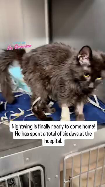 aB6ks ptxP4CVhPy.jpg