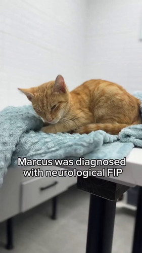 uTKbc0 lFjISQ7wL.jpg